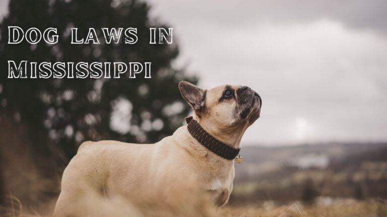 Dog Laws in Mississippi