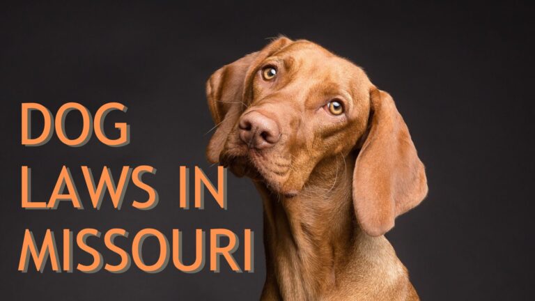 Dog Laws in Missouri