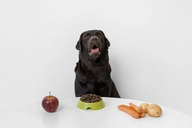 Dog Food and Nutrition Laws in Mississippi 