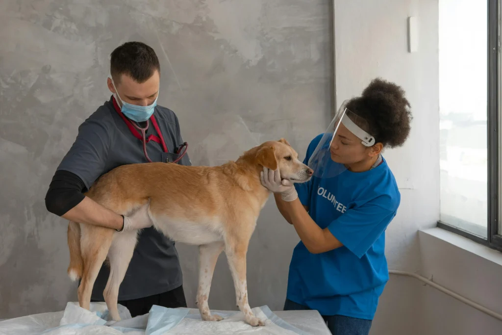 Dog Health and Veterinary Law