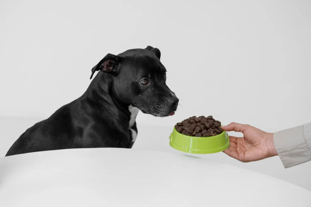 Dog Food and Nutrition Laws in Montana 