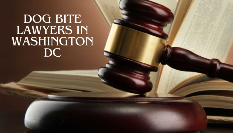 Dog Bite Lawyers in Washington DC