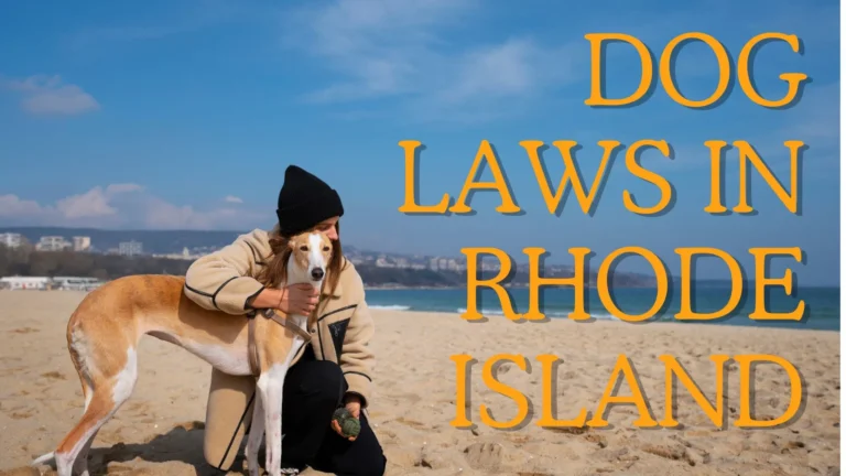 Dog Laws in Rhode Island   