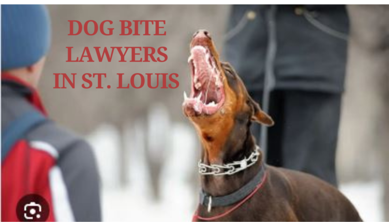 Dog bite lawyers in St. Louis