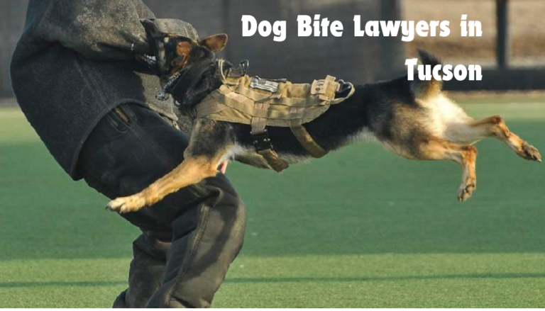 Dog Bite Lawyers in Tucson