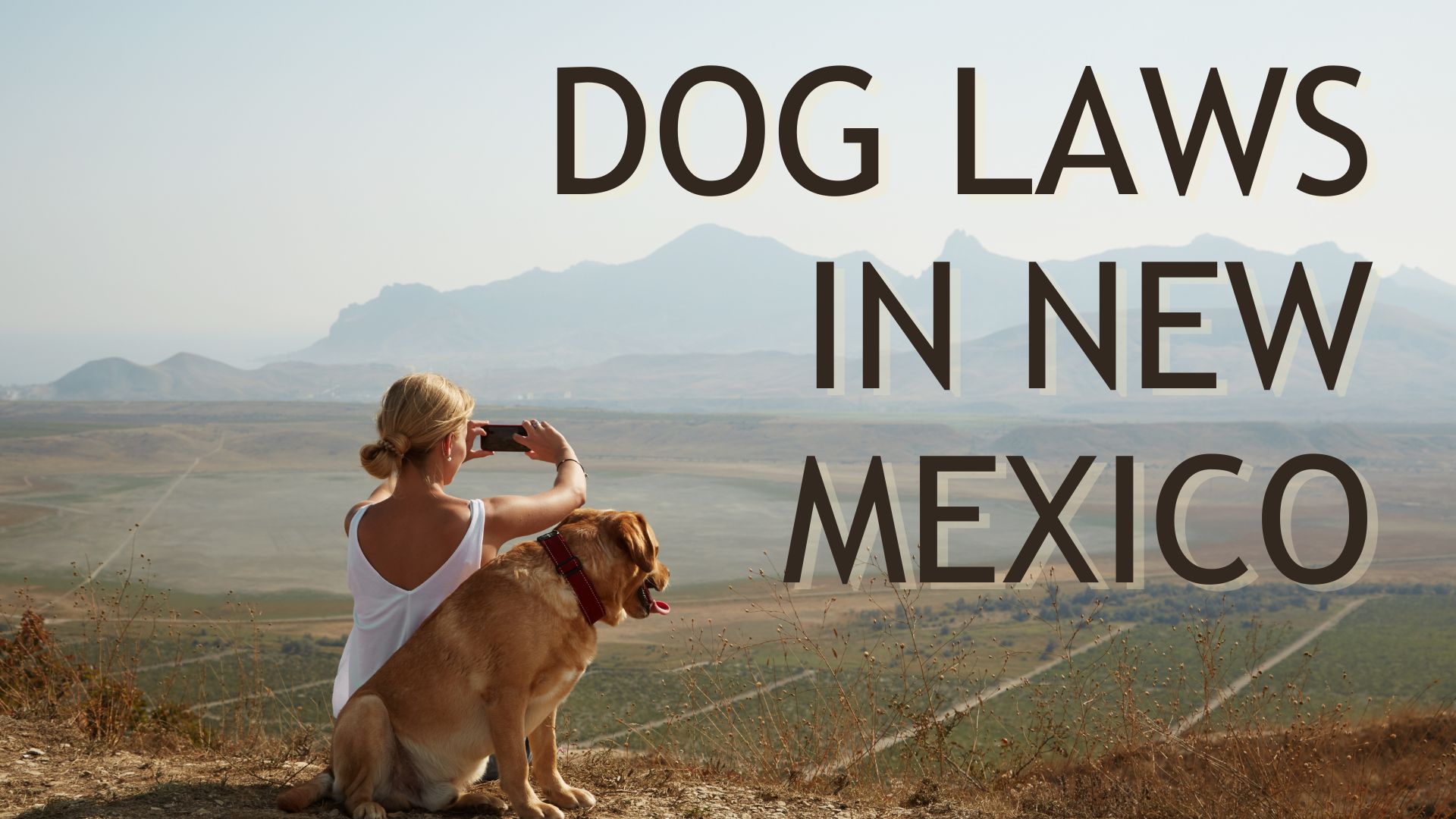 Dog Laws in New Mexico