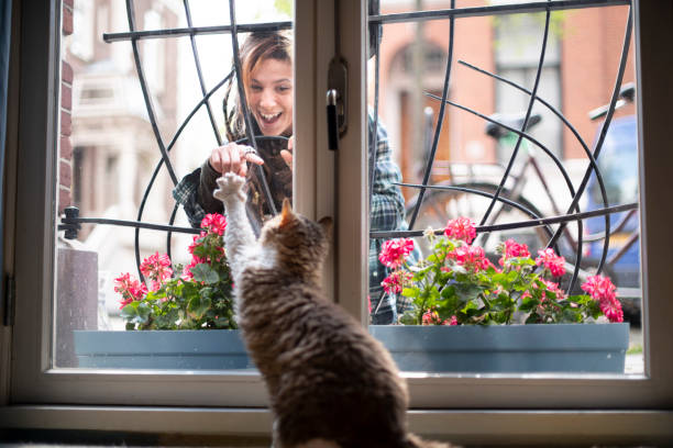 Suitability of the Selkirk Rex for Families and Other Pets