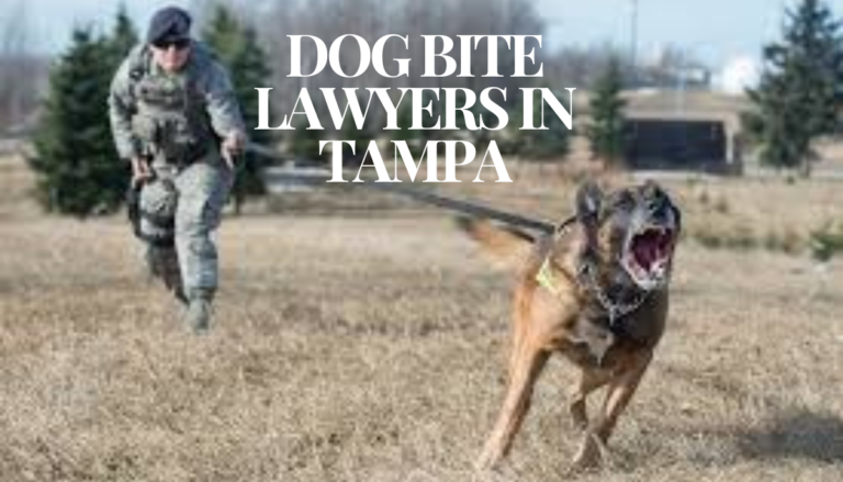 Dog bite lawyers in Tampa