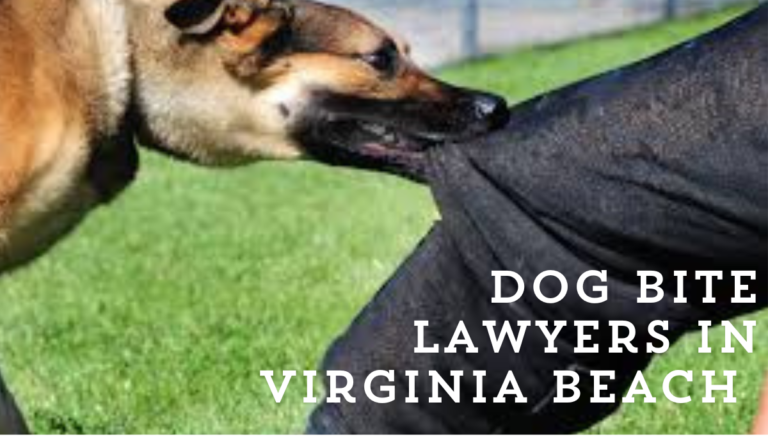 Dog Bite Lawyers in Virginia Beach