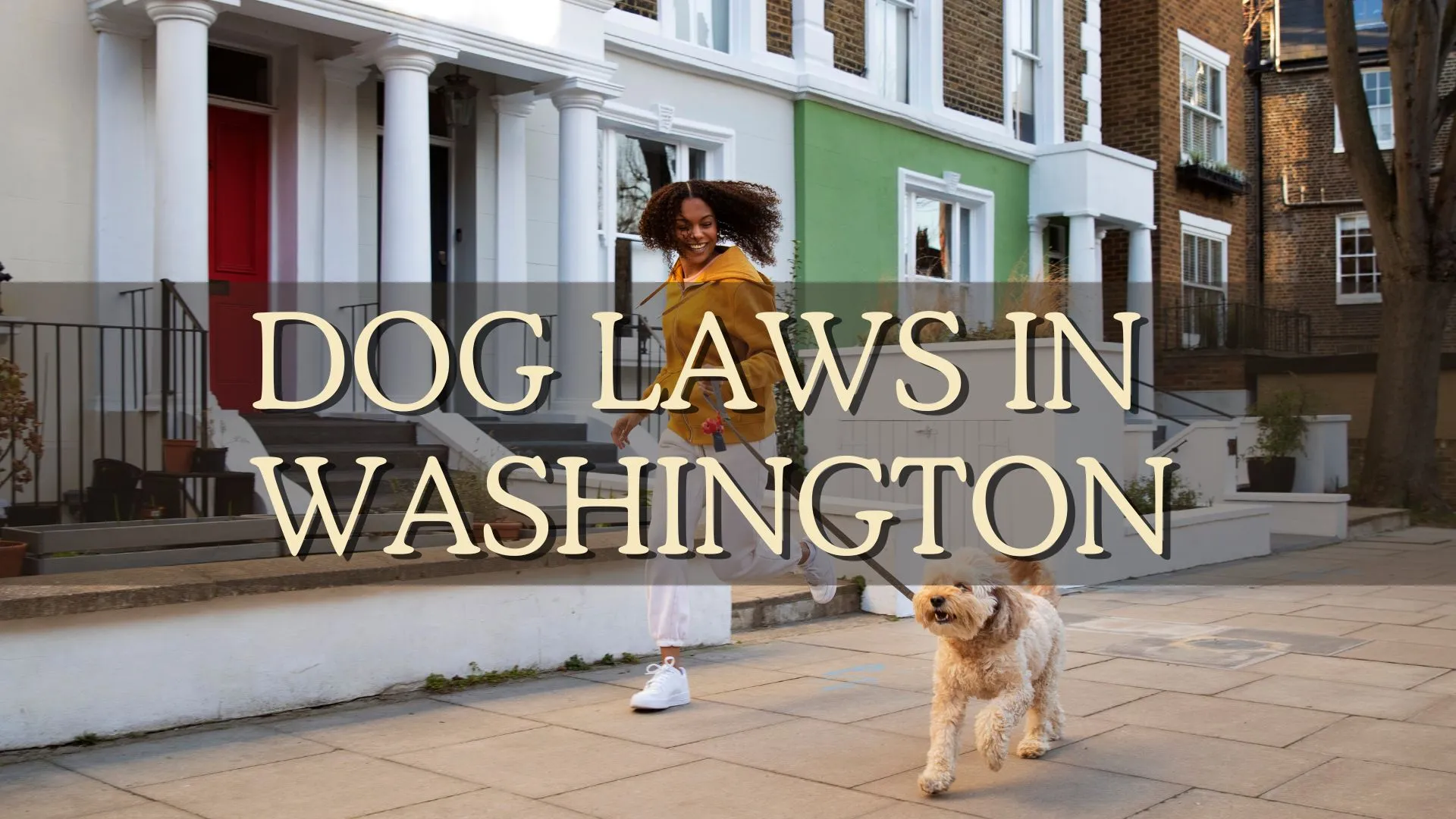 Dog Laws in Washington