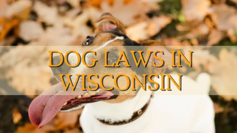 Dog Laws in Winsconsin