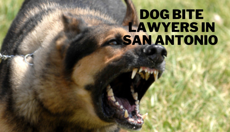 Dog Bite Lawyers in San Antonio