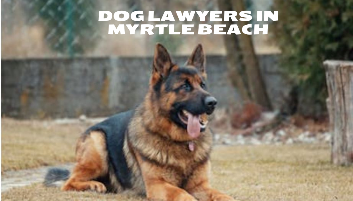 Dog Lawyers in Myrtle Beach