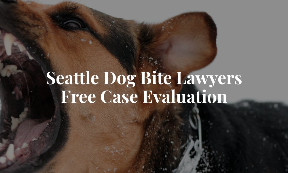 Dog bite lawyers in Seattle	