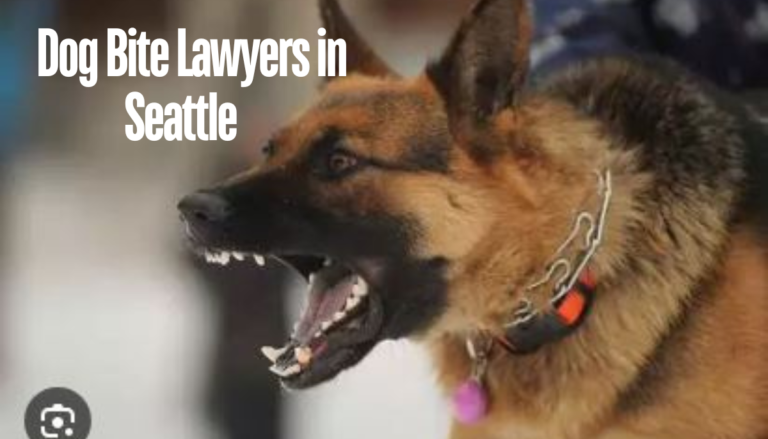 Dog Bite Lawyers in Seattle