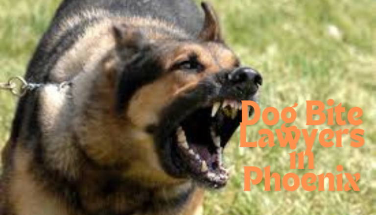 Dog Bite Lawyers in Phoenix