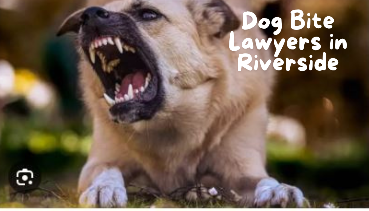 Dog Bite Lawyers in Riverside