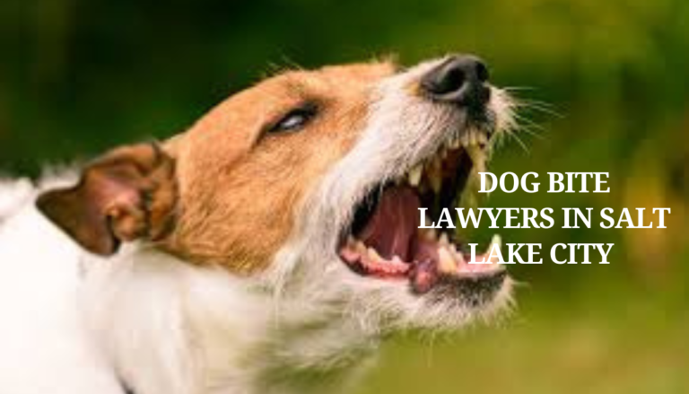 Dog Bite Lawyers in Salt Lake City