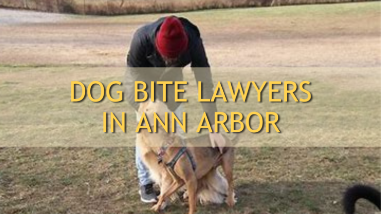 Dog Bite Lawyers in Ann Arbor