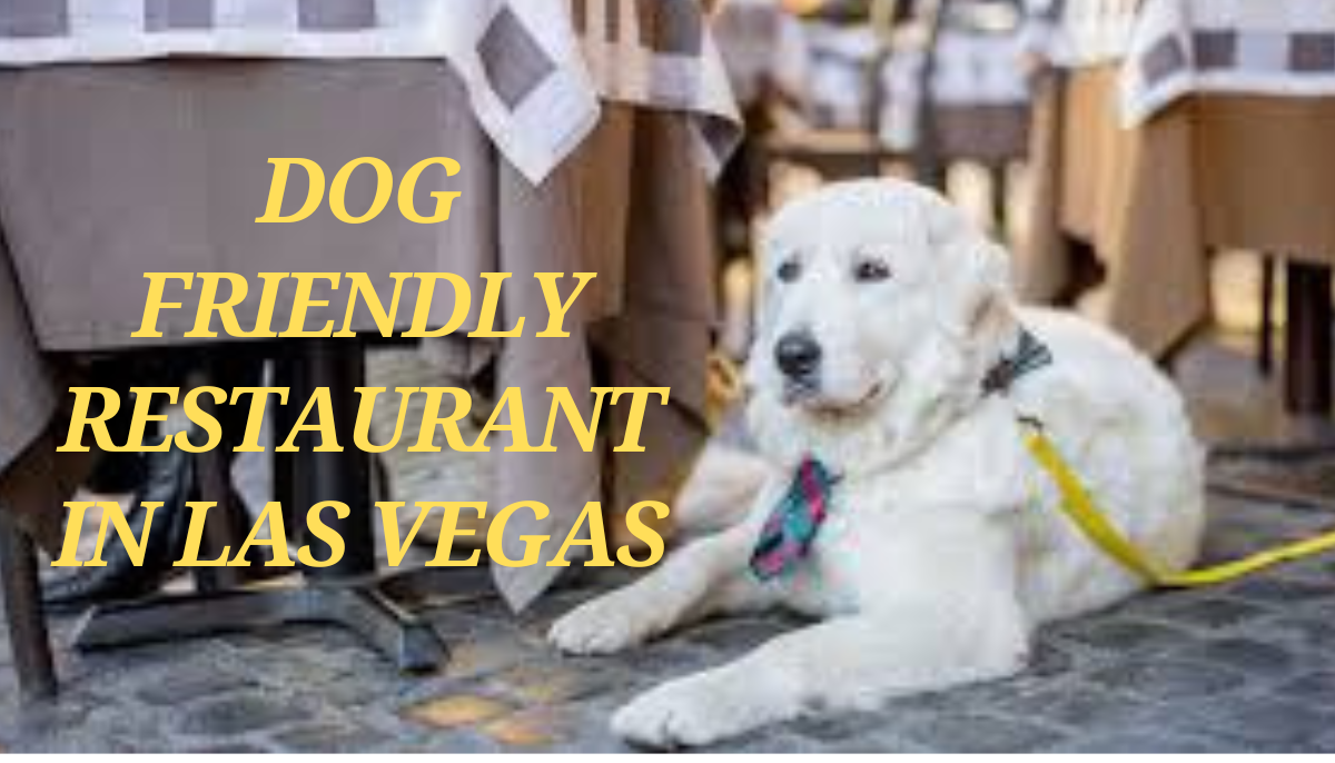 Dog Friendly Restaurant in Las Vegas