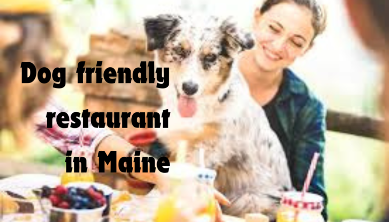 Dog friendly restaurant in Maine