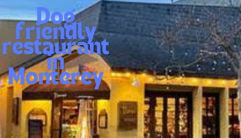 Dog friendly restaurant in Monterey