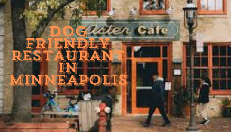 Dog Friendly Restaurant in Minneapolis