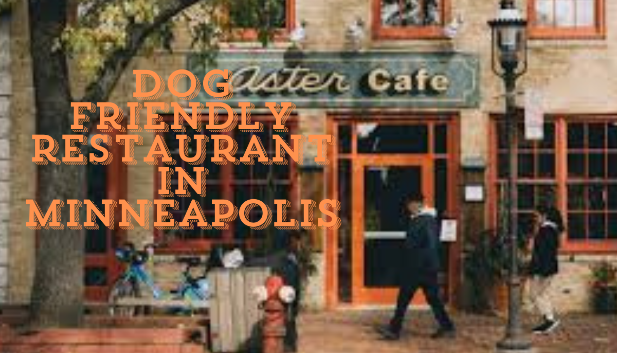 Dog friendly restaurant in Minneapolis