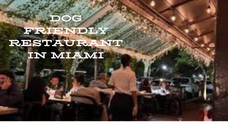 Dog Friendly Restaurant in Miami