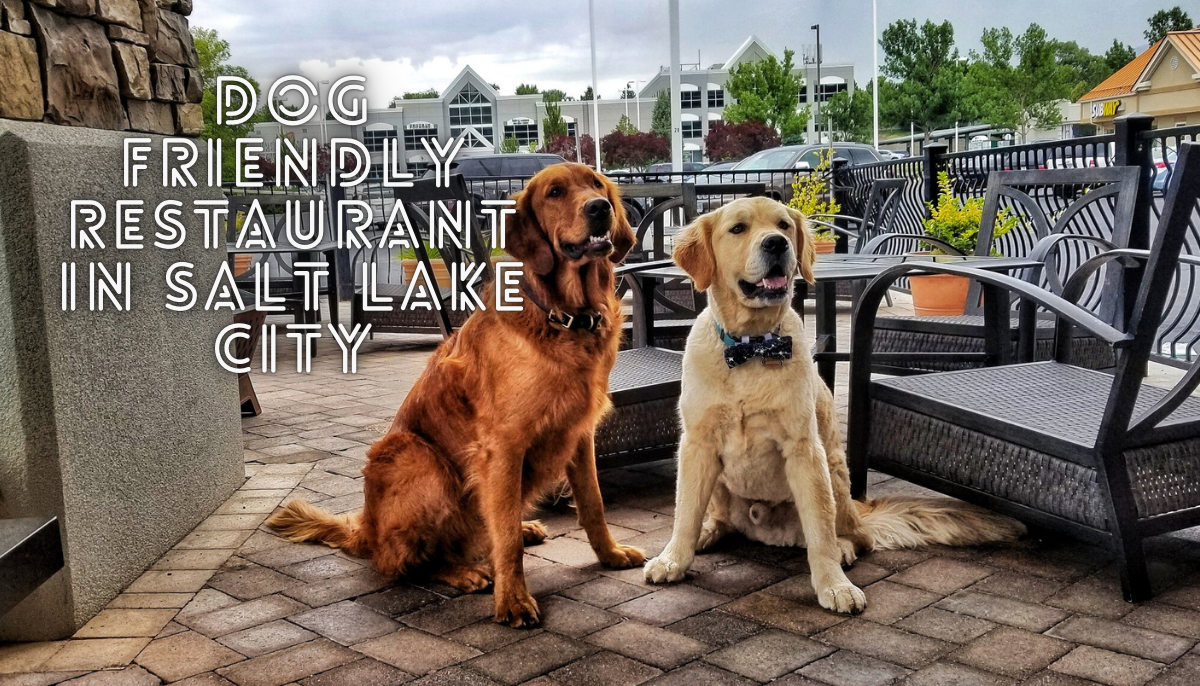 Dog Friendly Restaurant in Salt Lake City