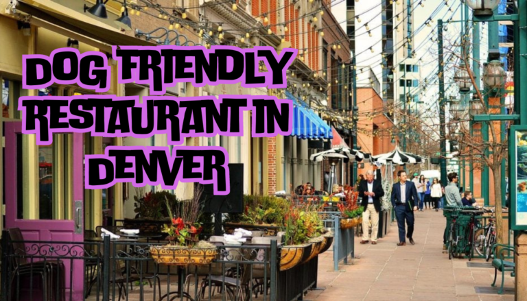 Dog friendly restaurant in Denver