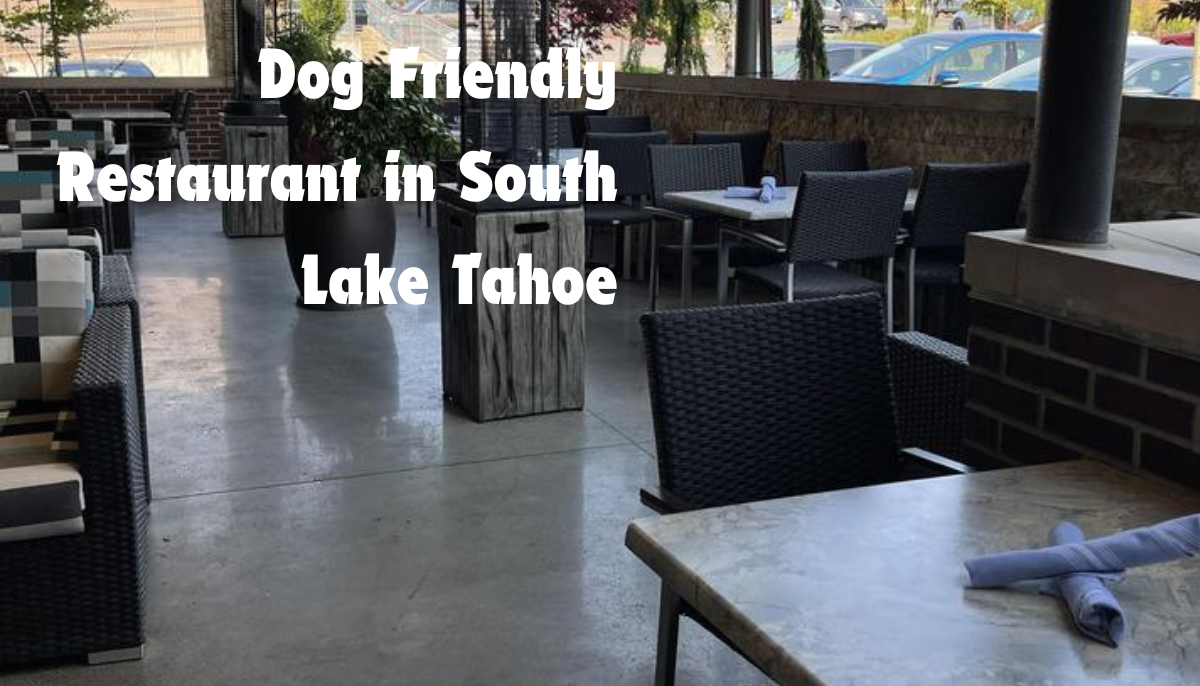 Dog friendly restaurant in South Lake Tahoe