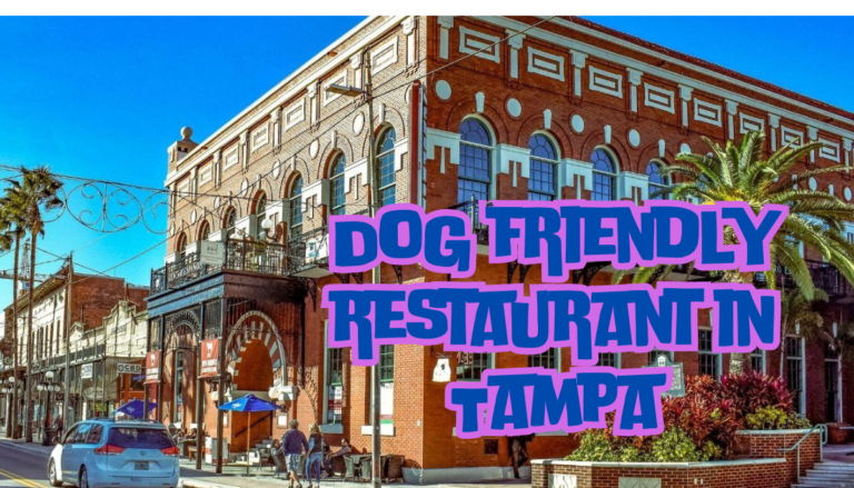 Dog friendly restaurant in Tampa