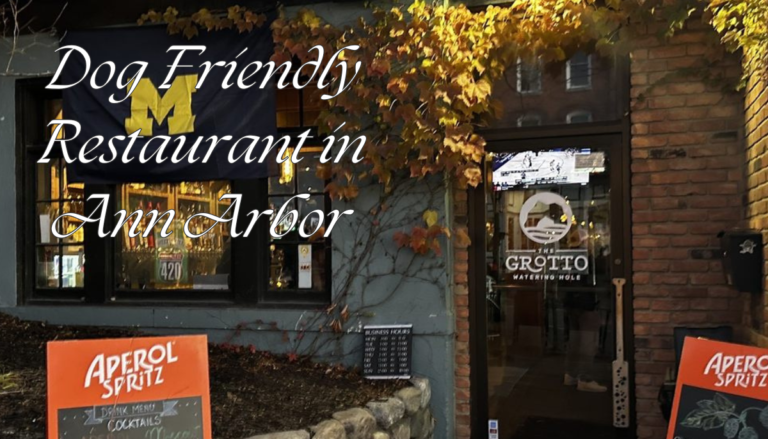 Dog Friendly Restaurant in Ann Arbor