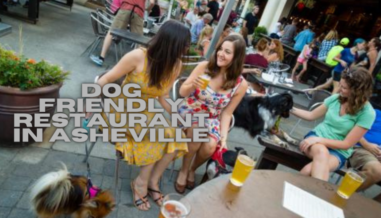 Dog Friendly Restaurant in Asheville