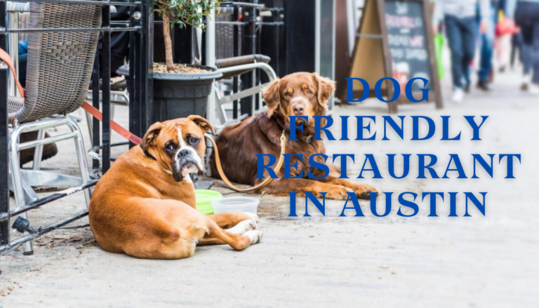 Dog Friendly Restaurant in Austin