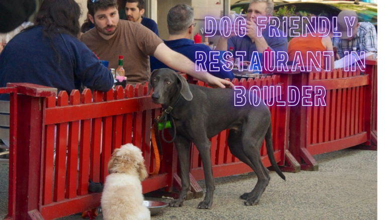 Dog Friendly Restaurant in Boulder