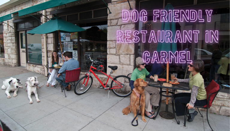 Dog Friendly Restaurant in Carmel CA