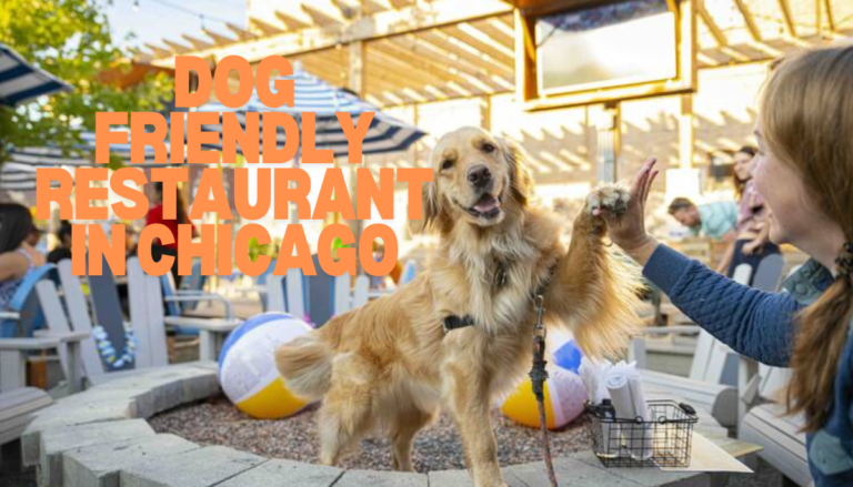 Dog Friendly Restaurant in Chicago