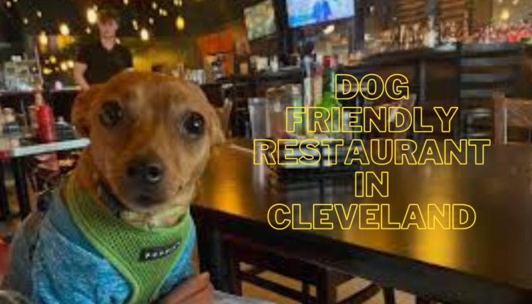 Dog Friendly Restaurant in Cleveland