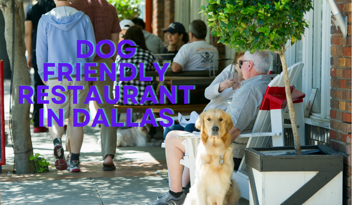 Dog Friendly Restaurant in Dallas