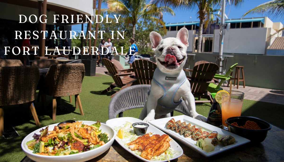 Dog friendly restaurant in Fort Lauderdale