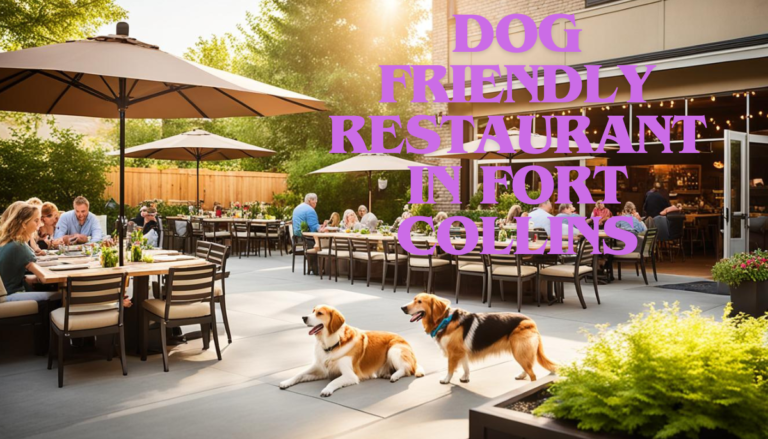 Dog friendly restaurant in Fort Collins