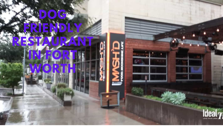 Dog friendly restaurant in Fort Worth