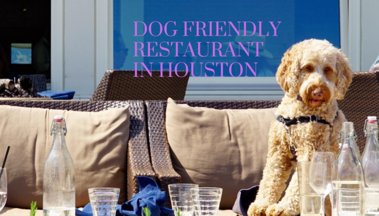 Dog friendly restaurant in Houston