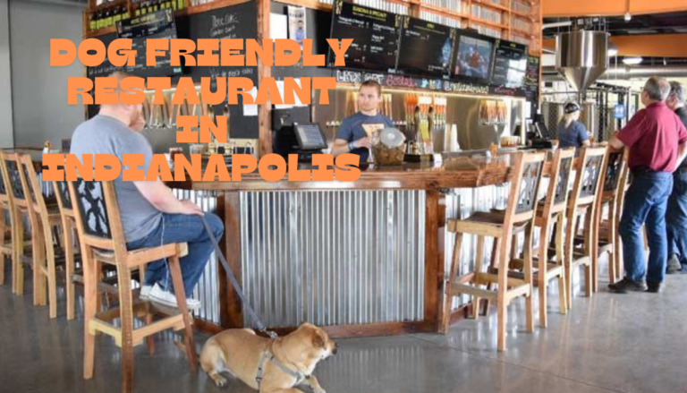 Dog friendly restaurant in Indianapolis