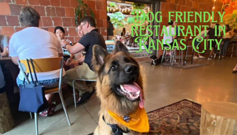 Dog friendly restaurant in Kansas City