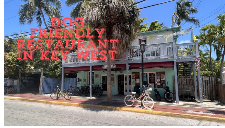 Dog friendly restaurant in Key West