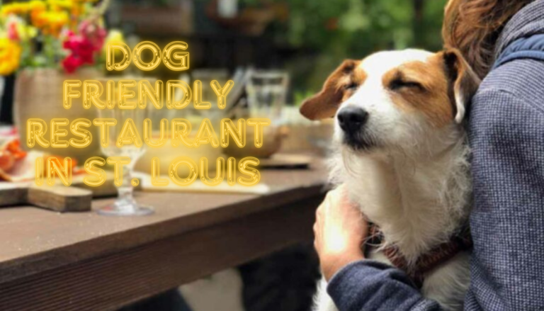 Dog friendly restaurant in St. Louis