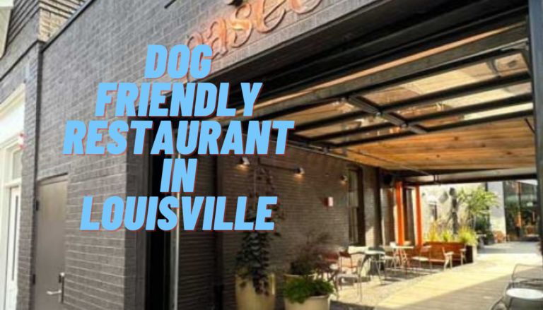 Dog friendly restaurant in Louisville